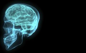 San Diego Brain Injury Victims Getting Better Help